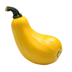 A bright yellow elongated summer squash vegetable isolated on transparent background