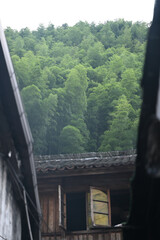 The sea of bamboo on the roof of the house in the cooking smoke