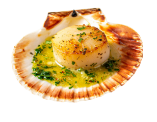 Scallop Shell with Grilled Scallop Inside, Garnished with Herb Butter, Isolated PNG