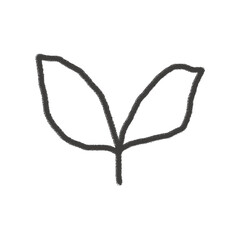 Hand-Drawn Leaf Icon isolated on a transparent background 