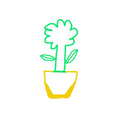 Green flower in yellow pot isolated on a transparent background plant potted plant