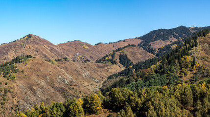 view of the mountains in autumn