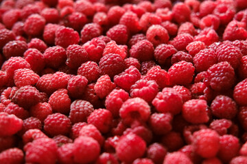 Sweet raspberry background. Full frame of fresh raspberries. Red ripe berry photo wallpaper closeup. Juicy berries. Vegetarian, vegan raw food. Organic bio product. From farm to table. Fruit pattern