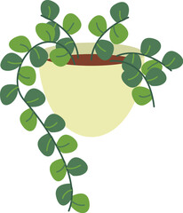 Green trailing plant with rounded leaves in a light yellow pot. ©  Artisan Graph
