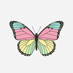 Obraz premium Pastel Butterfly Illustration with Delicate Wing Patterns.