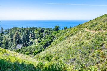 Fototapeta premium Green hills and forested mountains along California Highway 1 near Big Sur with the Pacific Ocean in the distance, capturing scenic coastal landscape, nature, and outdoor travel