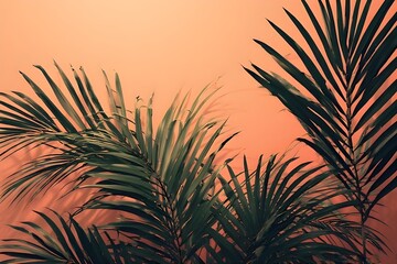 Stunning tropical palm leaves against vibrant coral backdrop create a modern botanical vibe, perfect for adding a touch of summer to your designs
