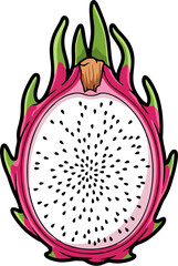 Dragon Fruit Vector Illustration