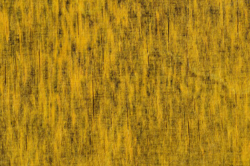 Vibrant yellow texture showcasing nature's intricate patterns