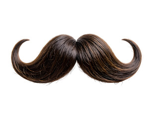A stylish and dramatic mustache with flowing strands, showcasing a unique and bold facial hair design.
