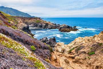 Obraz premium Colorful Big Sur coastline along Highway 1, California. Rugged cliffs meet the Pacific Ocean, with wildflowers and coastal plants covering the slopes, creating a vibrant contrast against the blue sea