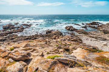 Rocky shoreline along 17 Mile Drive near Monterey, California. Waves crash against rugged stones, with coastal plants adding color under a bright sky on this famous scenic route by the Pacific Ocean