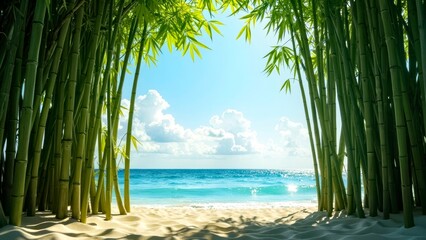 The beautiful beach scenery framed by bamboo forest