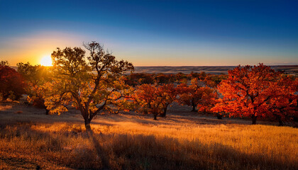 Obraz premium Fall Foliage In An Oklahoma Sunset