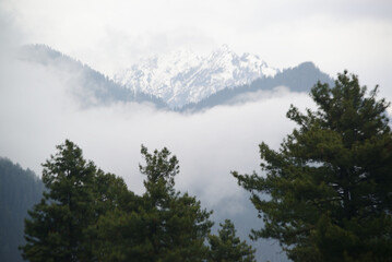 The Himalayas, shrouded in mist, create a beautiful view from Pahalgam, a place surrounded by lush pine forests in Jammu and Kashmir, India.