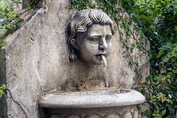 A decorative stone fountain featuring a sculpted head design and surrounded by green climbing foliage
