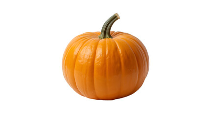 Orange pumpkin isolated on white background for vegetable autumn harvest and seasonal design illustration