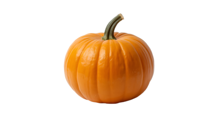 Orange pumpkin isolated on white background for vegetable autumn harvest and seasonal design illustration