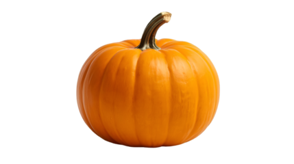 Orange pumpkin isolated on white background for vegetable autumn harvest and seasonal design illustration