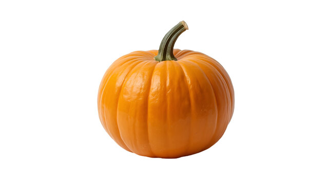 Orange pumpkin isolated on white background for vegetable autumn harvest and seasonal design illustration