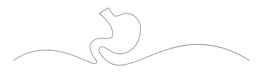 Human stomach one line drawing anatomy icon