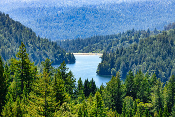 Scenic view of Loch Lomond Recreation Area in Santa Cruz Mountains, California USA, with clear blue water, forested hills, and summer sky reflecting tranquility and natural beauty