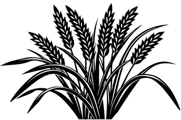 wheat ears vector