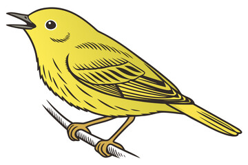 vector illustration of yellow warbler bird