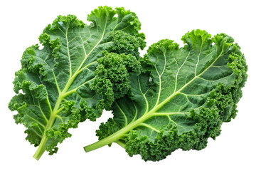Two fresh green kale leaves isolated on white background png isolated on a transparent background