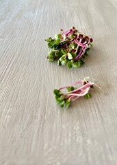 Radish Microgreens Piled on Tabletop – Edible Sprouts and Organic Plant-Based Nutrition.