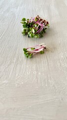 Radish Microgreens Piled on Tabletop – Edible Sprouts and Organic Plant-Based Nutrition.
