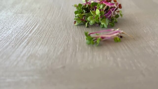 Radish Microgreens Piled on Tabletop &ndash; Edible Sprouts and Organic Plant-Based Nutrition.