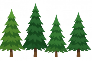 Green pine trees set, identifying evergreen forest plants, showing various conifers for nature and outdoor themes