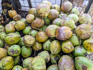 A close-up view of a large pile of fresh, green coconuts, ready for sale.