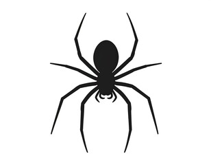 Silhouette of a spider