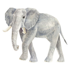 Hand-painted watercolor illustration of a majestic elephant. Artistic wildlife artwork with soft textures and delicate brushstrokes. Perfect for posters, prints, cards, and creative design projects.