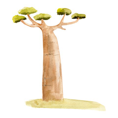Hand-drawn watercolor illustration of a baobab tree with lush green foliage standing on green grass in a safari park.  Perfect for posters, prints, cards, and creative design projects. 