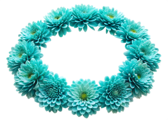 Turquoise chrysanthemum flowers forming a semi circle isolated on a transparent background