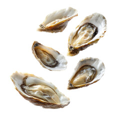  Fresh Opened Oysters Floating in Mid Air on Transparent Background