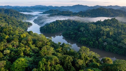 Obraz premium A breathtaking aerial view of a lush rainforest, showcasing a winding river flowing through dense foliage and misty mountains.