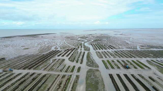 Aerial view of oyster farms at low tide near the Passage du Gois, Noirmoutier Island, France. Long rows of oyster beds and water channels create a unique landscape, showcasing traditional oyster

