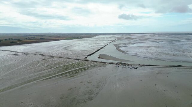 Aerial view of oyster farms at low tide near the Passage du Gois, Noirmoutier Island, France. Long rows of oyster beds and water channels create a unique landscape, showcasing traditional oyster
