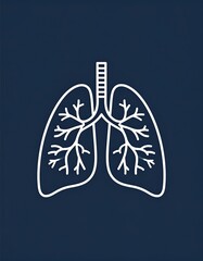 Simple anatomical lungs graphic