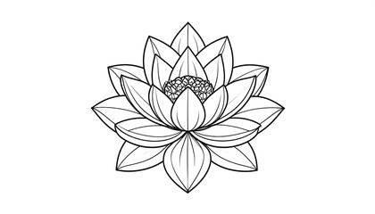 Simple black and white lotus flower