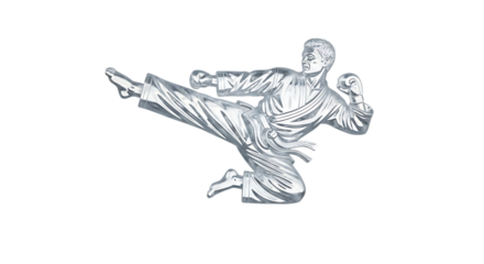 Martial arts fighter performing a dynamic side kick, isolated transparent, symbolizing strength, discipline, and combat sports