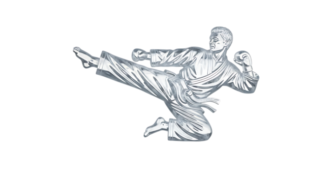Martial arts fighter performing a dynamic side kick, isolated transparent, symbolizing strength, discipline, and combat sports - Powered by Adobe