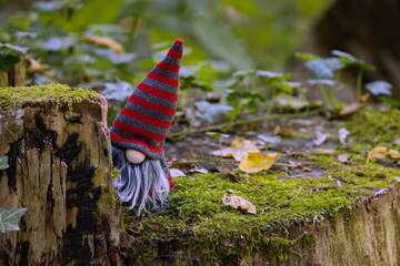 Wichtel hinter einem altem Baumstamm