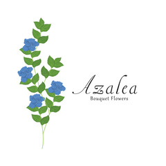 Azalea plant flower vector illustrations.