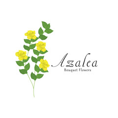 Azalea plant flower vector illustrations.