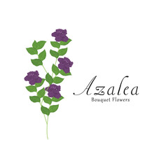 Azalea plant flower vector illustrations.